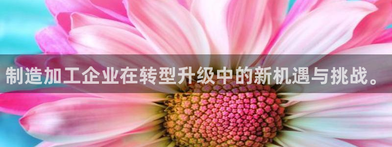 谈球吧的聊天软件叫什么