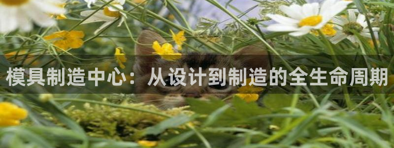 谈球吧体育赛事入口