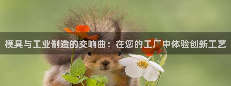 谈球吧全站app下载