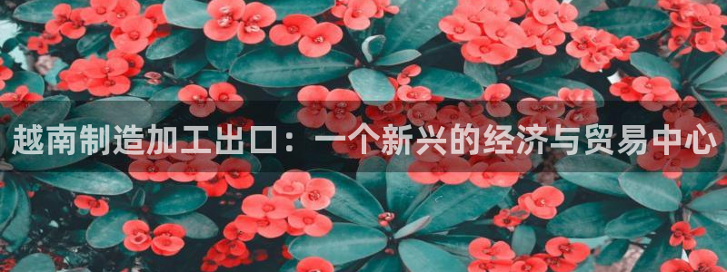 谈球吧体育app下载中心官网苹果