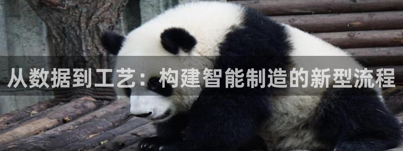 谈球吧体育app下载足球