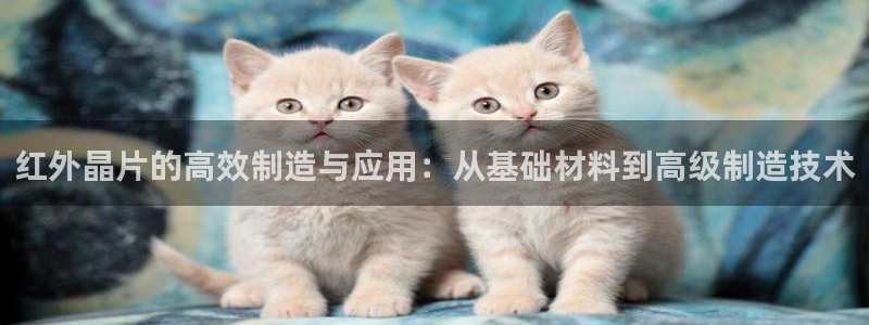 谈球吧官网入口在线观看