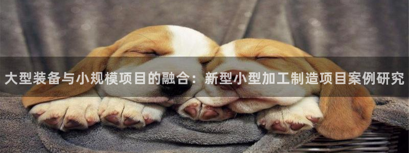 谈球吧体育app下载官网苹果