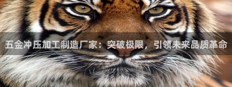 谈球吧体育官网在线入口