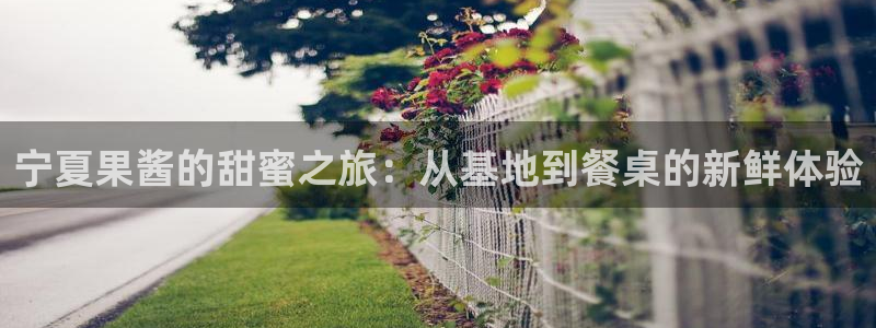 谈球吧官网在线入口免费观看高清版