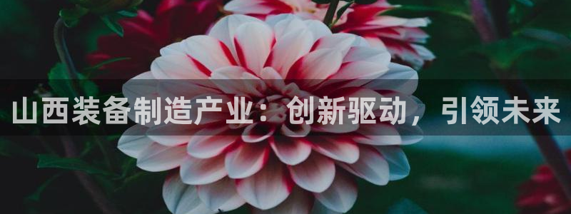 谈球吧app体育下载官网