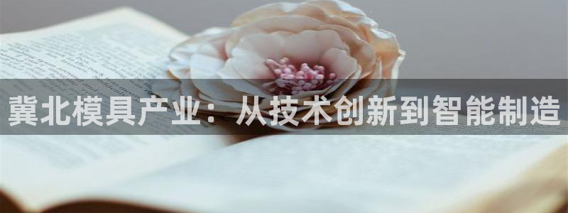 谈球吧买球是正规的吗
