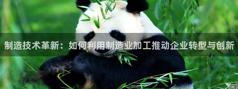 谈球吧的聊天软件是什么