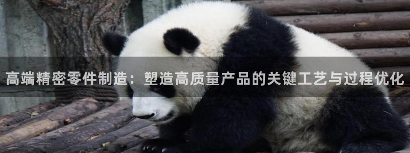 谈球吧网页登陆
