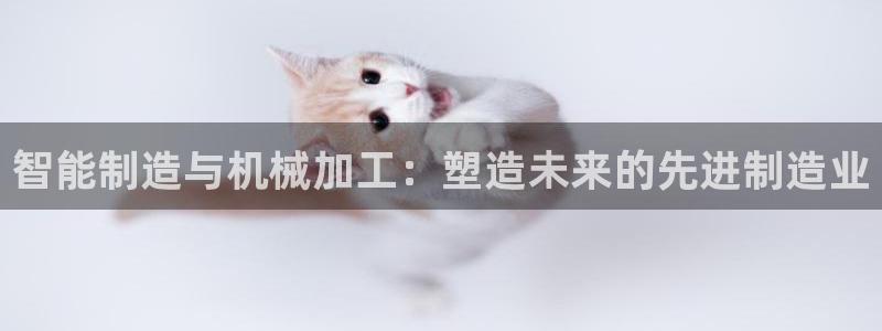 谈球吧官网在线入口免费观看高清