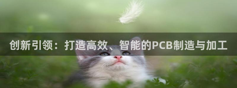 谈球吧体育app下载官网苹果