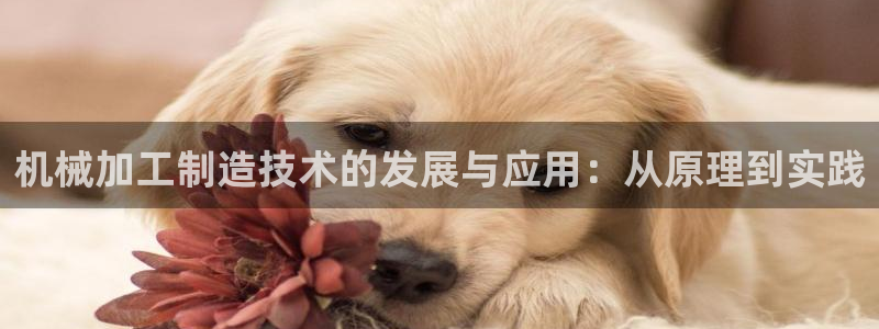 谈球吧咋样黑钱