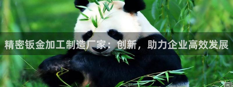 谈球吧官网在线入口免费观看