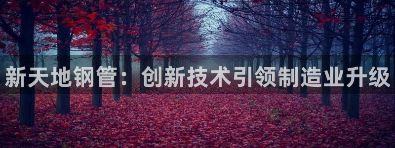 谈球吧app体育下载
