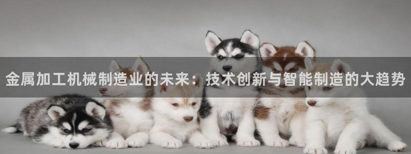 谈球吧咋样黑钱